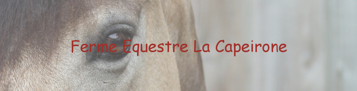 Ferme Equestre La Capeirone
